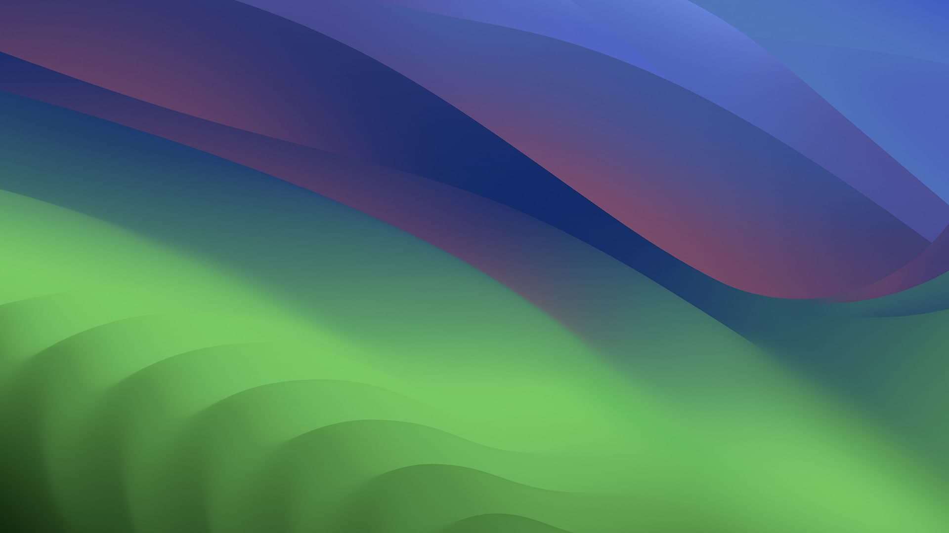 animated shape divider hero bg.jpg